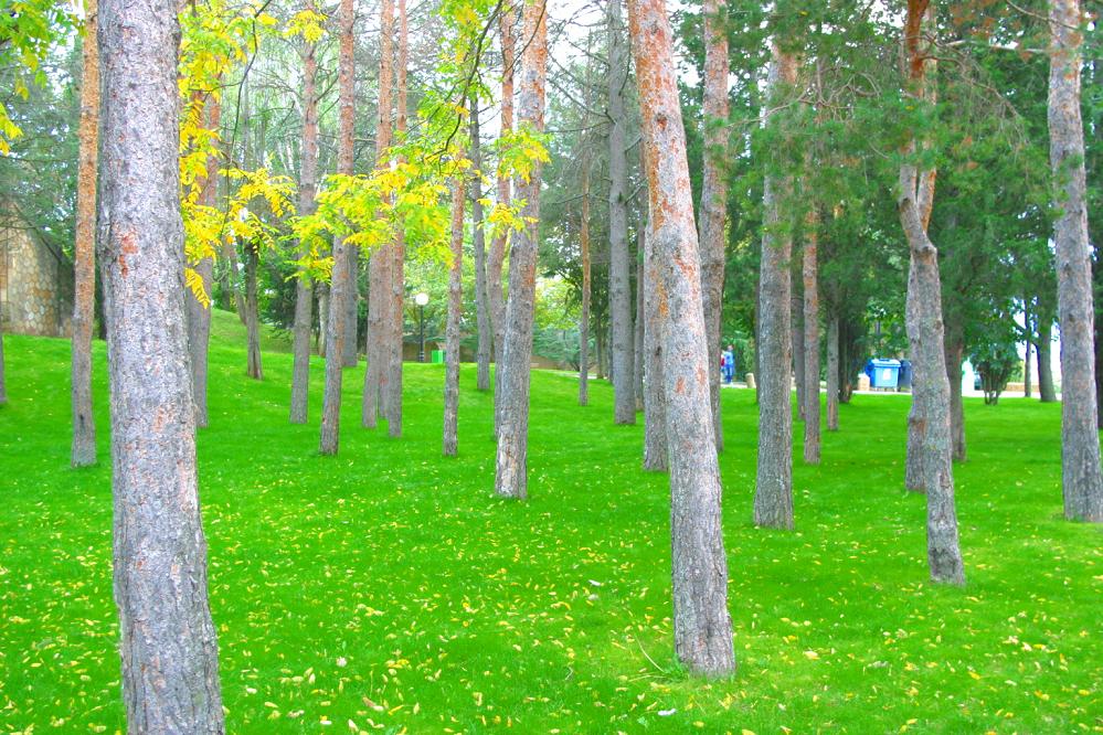 Foto de Soria (Castilla y León), España