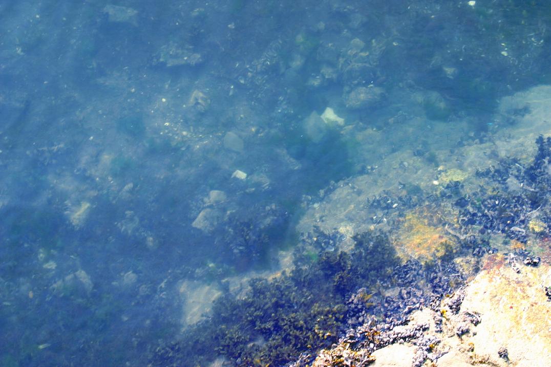 Foto de Sada (A Coruña), España