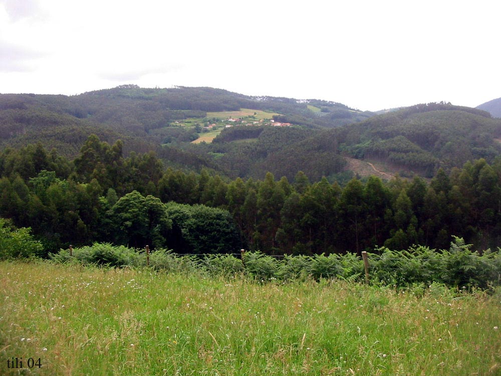 Foto de Pravia (Asturias), España