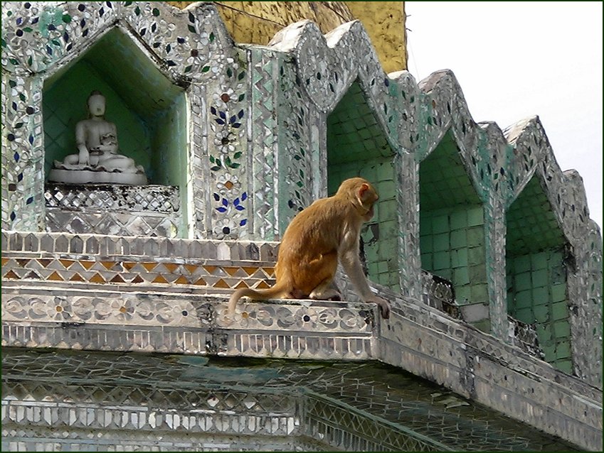 Foto de MONTE POPA, Myanmar