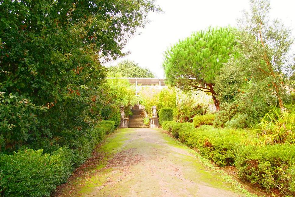 Foto de Betanzos (A Coruña), España