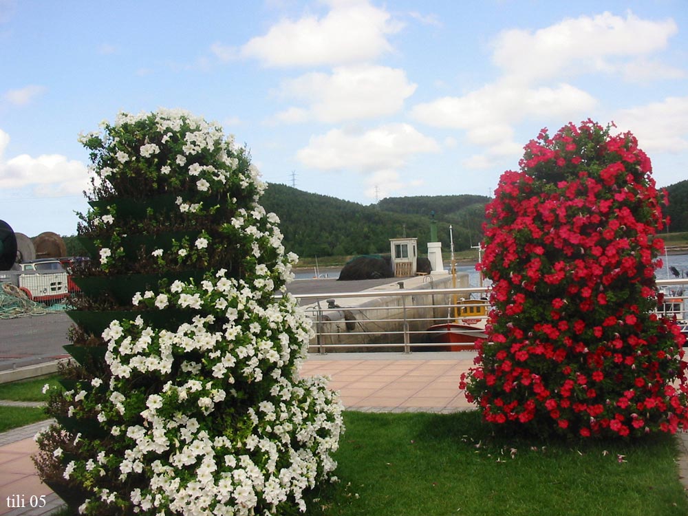 Foto de Avilés (Asturias), España