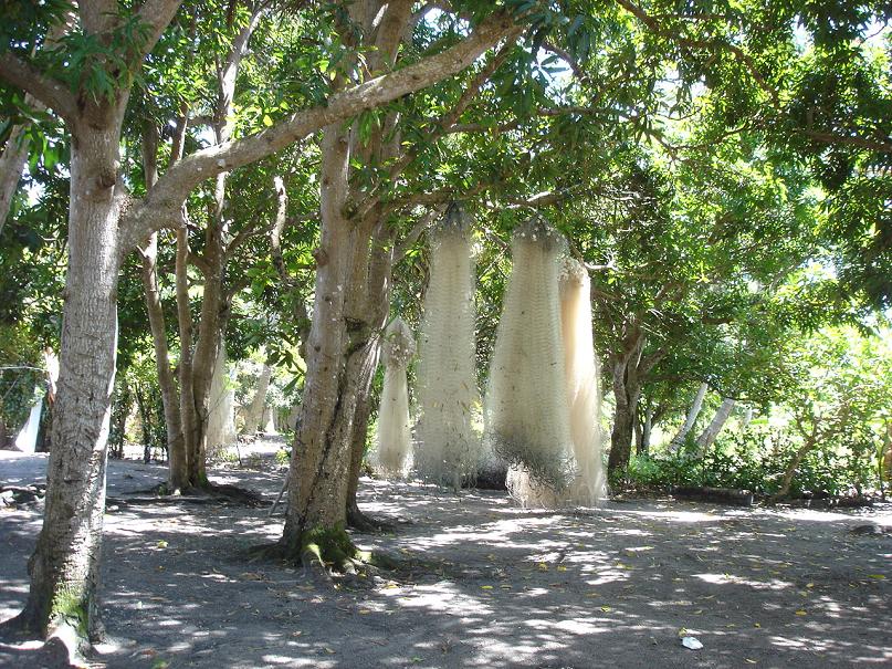 Foto de Rio Tinto (PB), Brasil