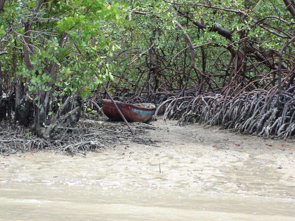 Foto de Rio Tinto (PB), Brasil