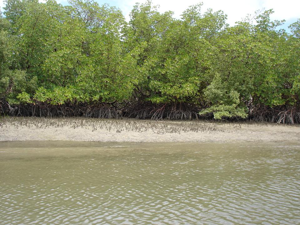 Foto de Rio Tinto (PB), Brasil