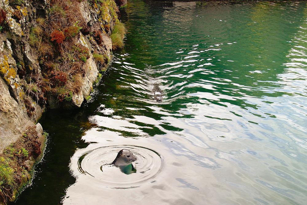 Foto de A Coruña (Galicia), España