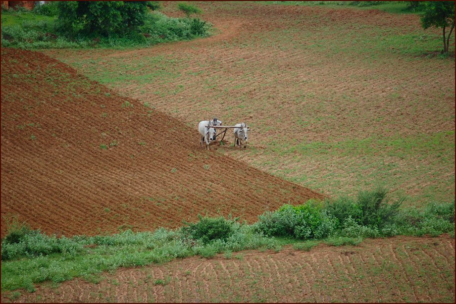 Foto de BAGAN, Myanmar
