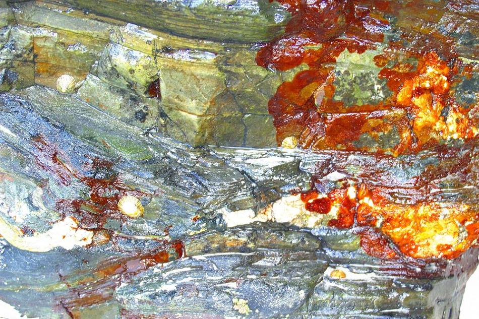 Foto de Ribadeo (Lugo), España