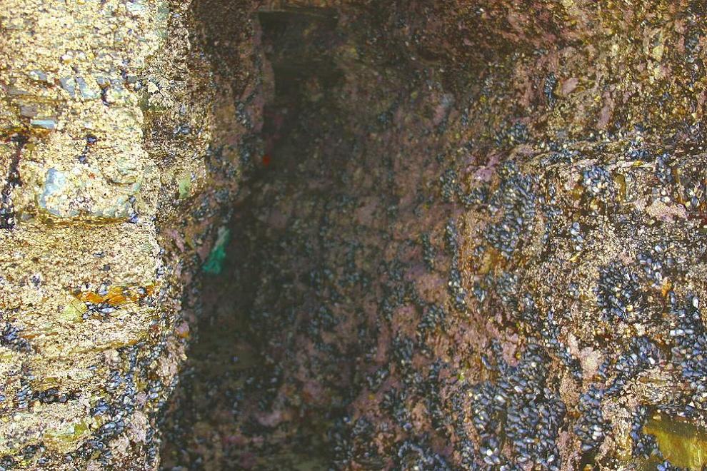 Foto de Ribadeo (A Coruña), España