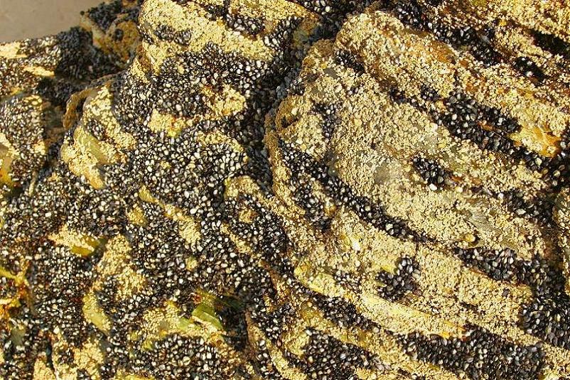 Foto de Ribadeo (A Coruña), España