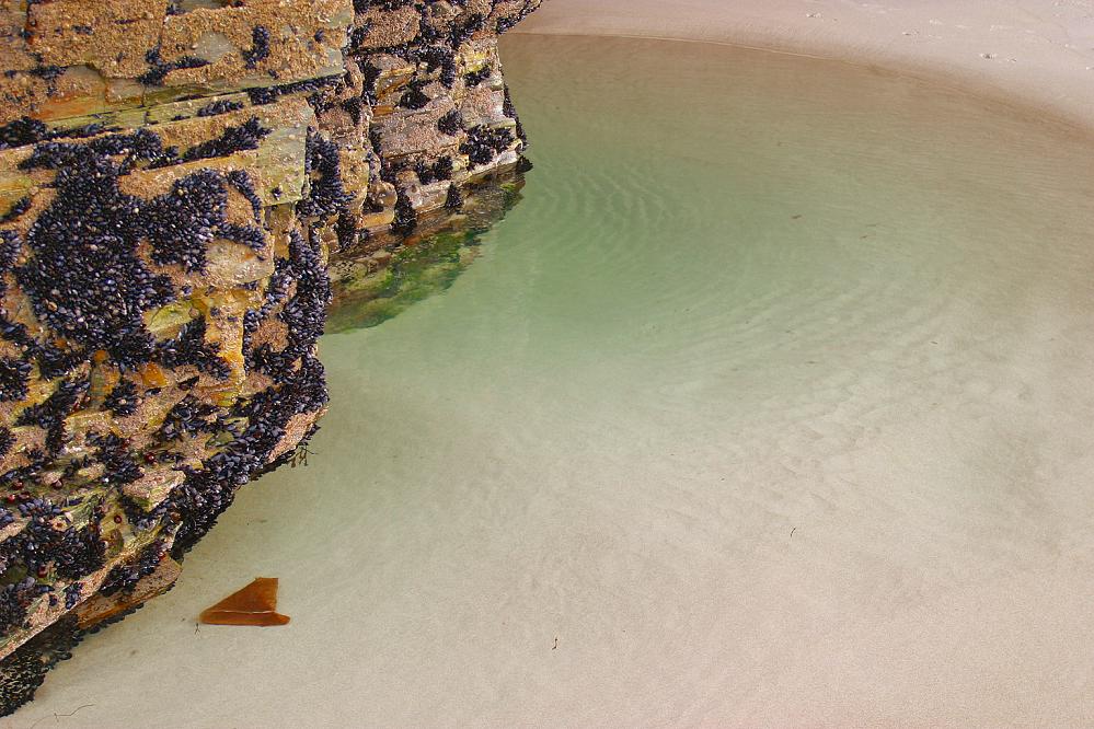 Foto de Ribadeo (A Coruña), España