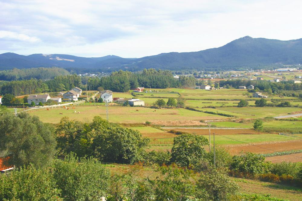 Foto de A Seara (Lugo), España