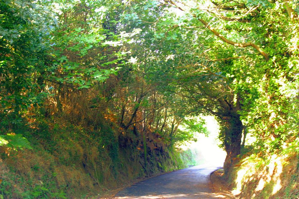 Foto de A Seara (Lugo), España