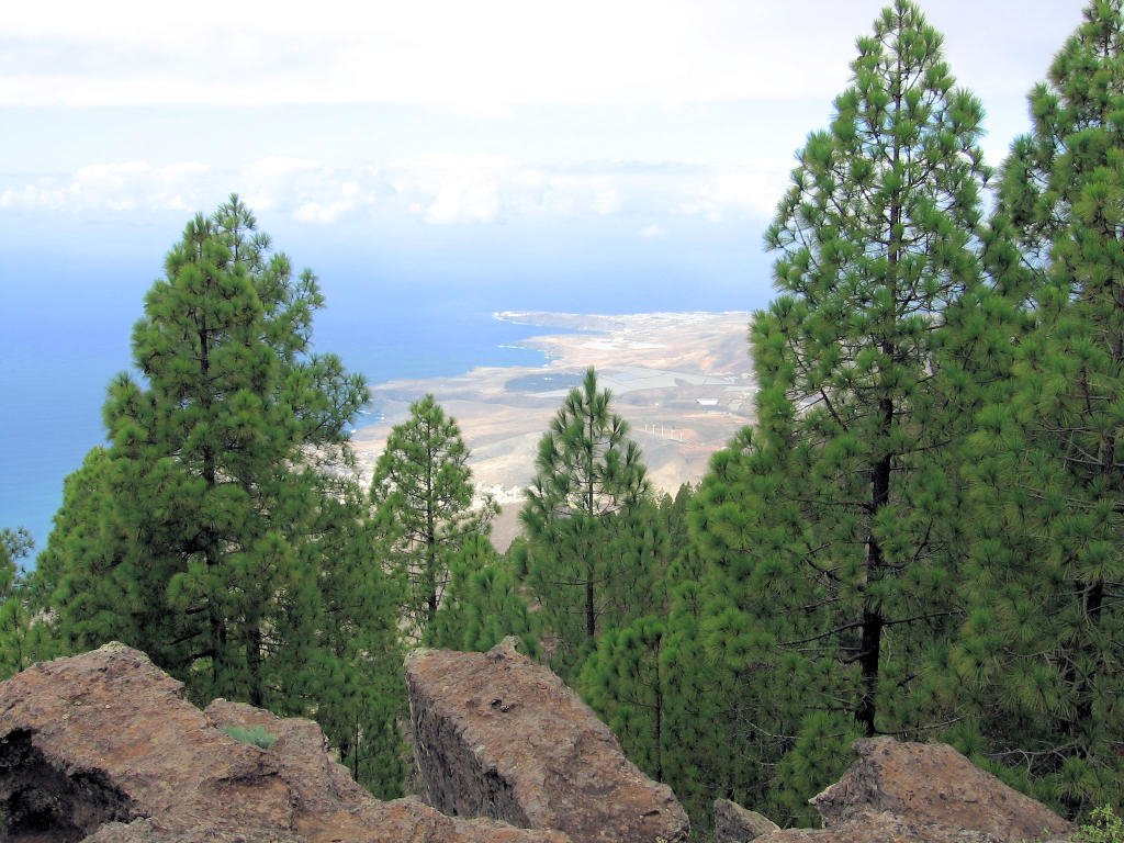 Foto de Moya - Gran Canaria (Las Palmas), España