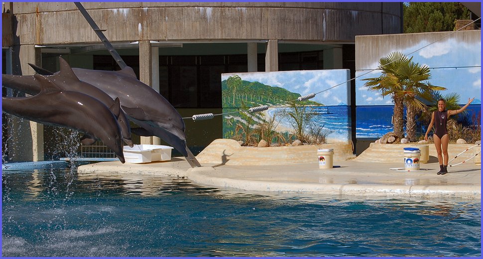 Foto de Madrid (Comunidad de Madrid), España