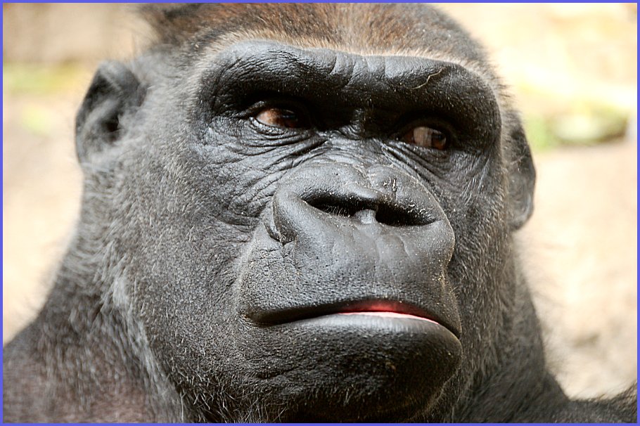 Foto de Madrid (Comunidad de Madrid), España