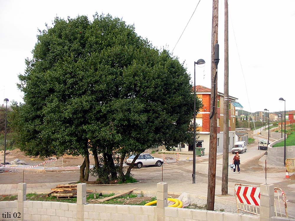 Foto de Avilés (Asturias), España