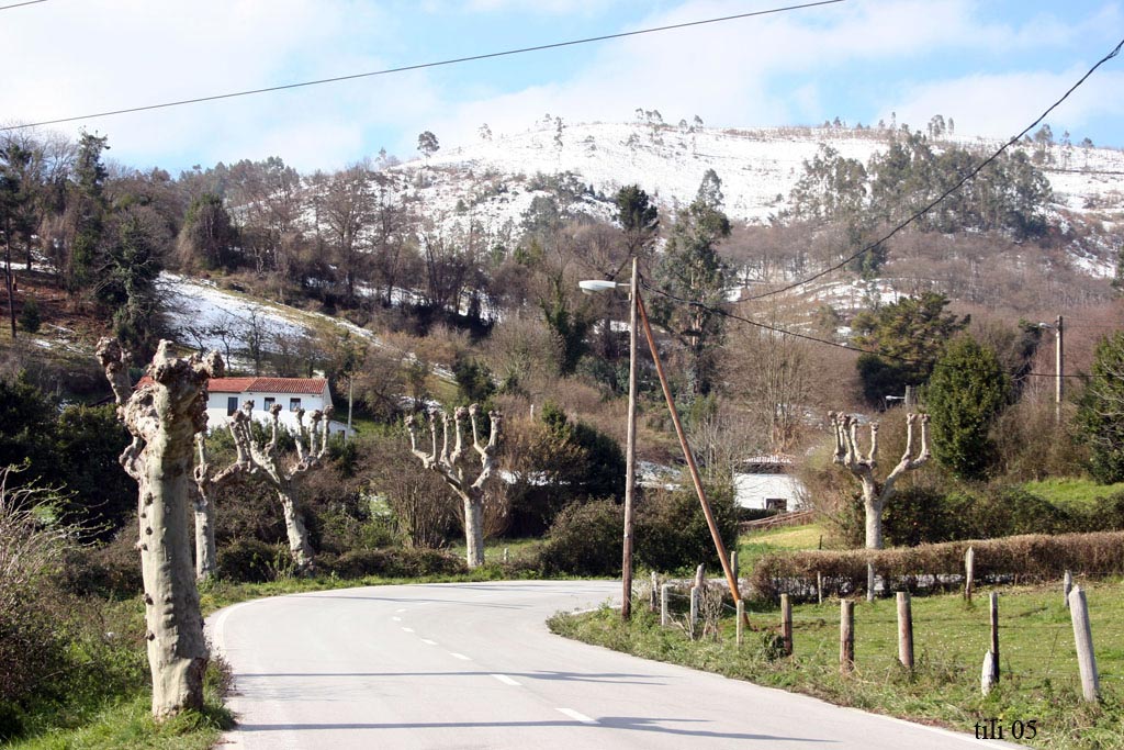 Foto de Oviedo (Asturias), España