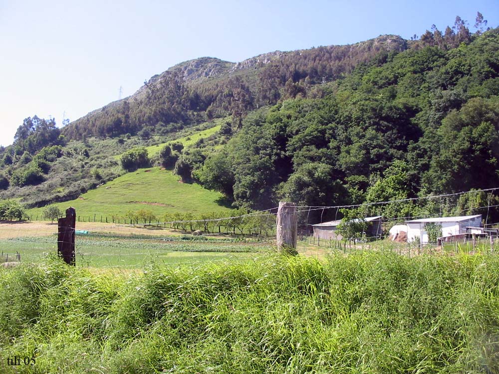 Foto de Ules (Asturias), España