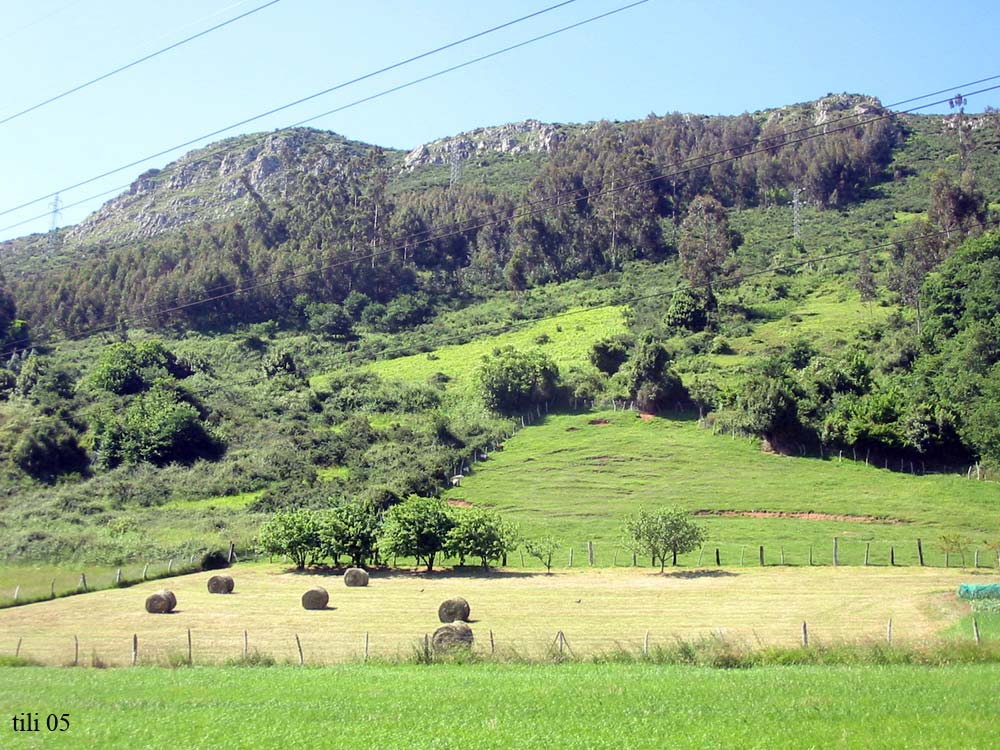 Foto de Ules (Asturias), España