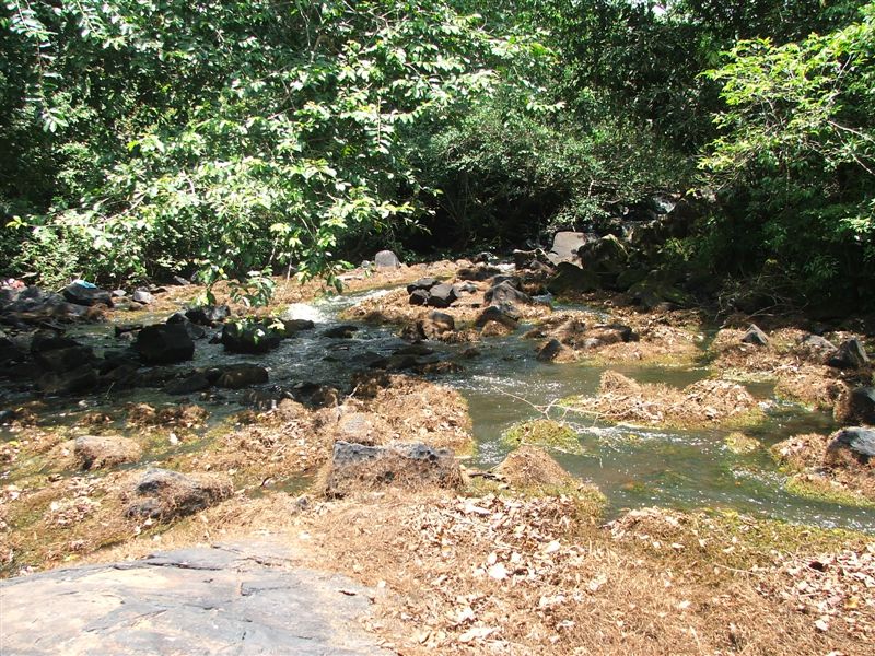 Foto de Bigi Poica, Surinam