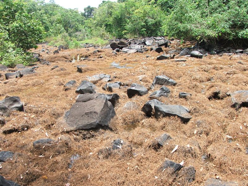 Foto de Bigi Poica, Surinam