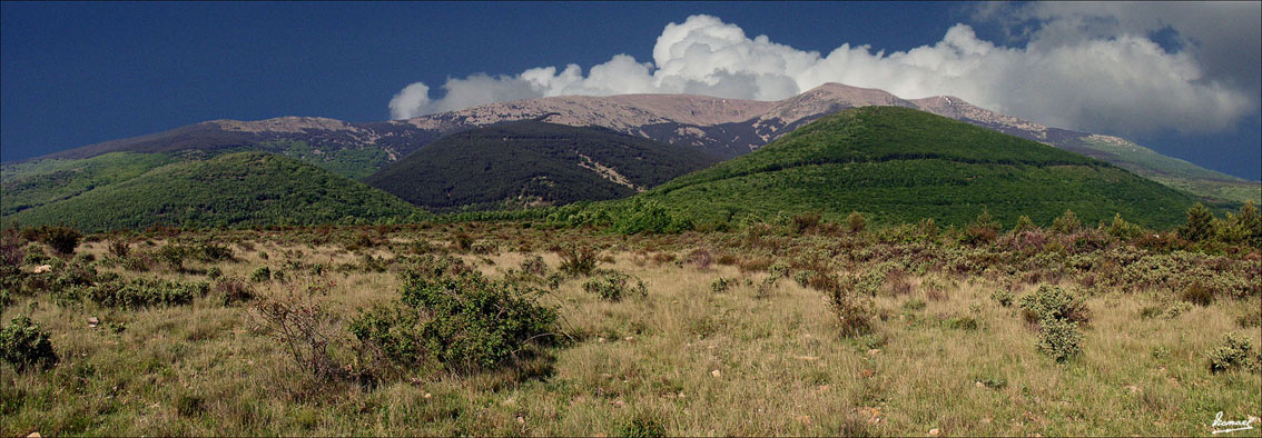 Foto de Vera de Moncayo (Zaragoza), España