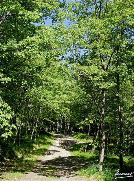 Foto de Vera de Moncayo (Zaragoza), España