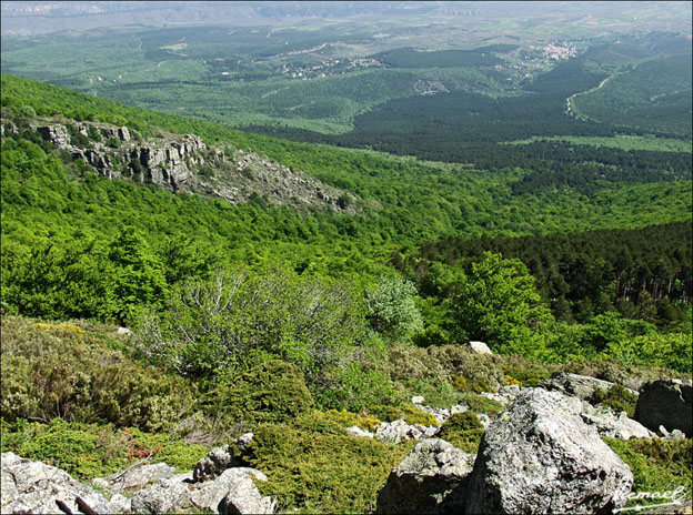 Foto de Vera de Moncayo (Zaragoza), España