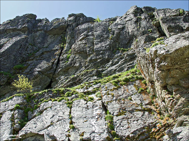 Foto de Vera de Moncayo (Zaragoza), España