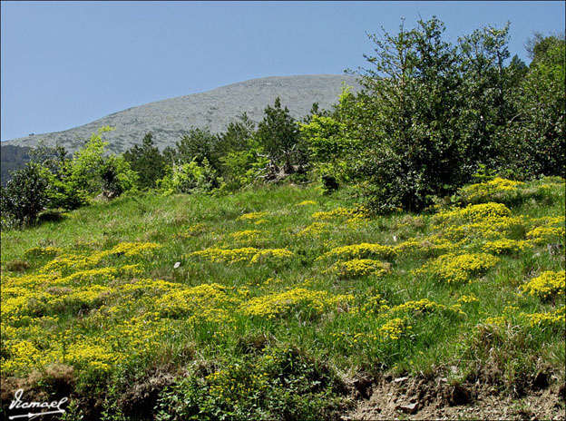 Foto de Vera de Moncayo (Zaragoza), España