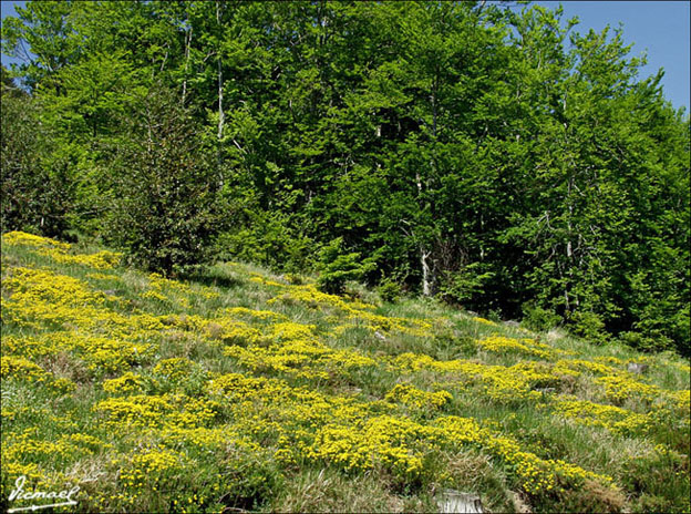 Foto de Vera de Moncayo (Zaragoza), España
