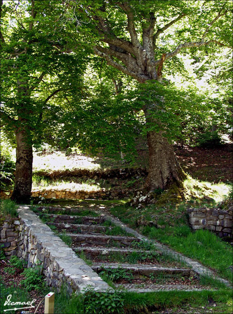 Foto de Vera de Moncayo (Zaragoza), España