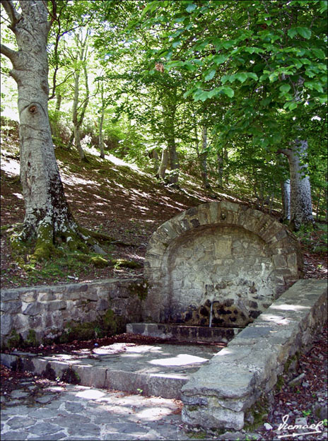 Foto de Vera de Moncayo (Zaragoza), España