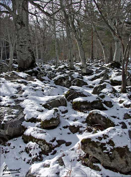 Foto de Vera de Moncayo (Zaragoza), España