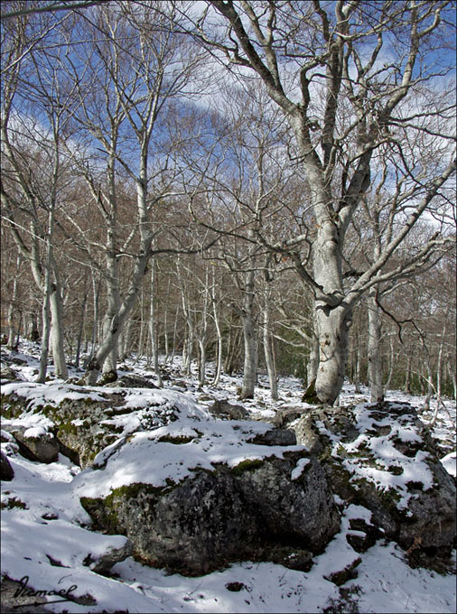 Foto de Vera de Moncayo (Zaragoza), España