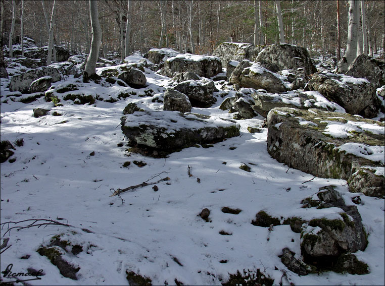 Foto de Vera de Moncayo (Zaragoza), España