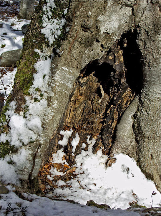 Foto de Vera de Moncayo (Zaragoza), España