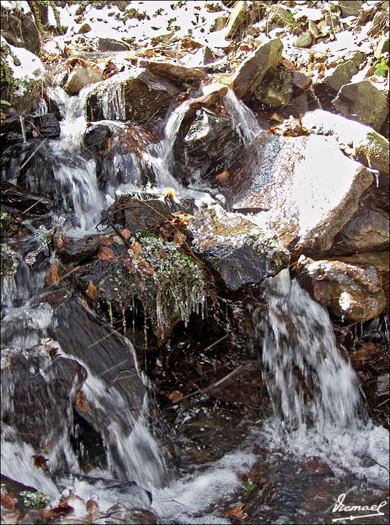 Foto de Vera de Moncayo (Zaragoza), España