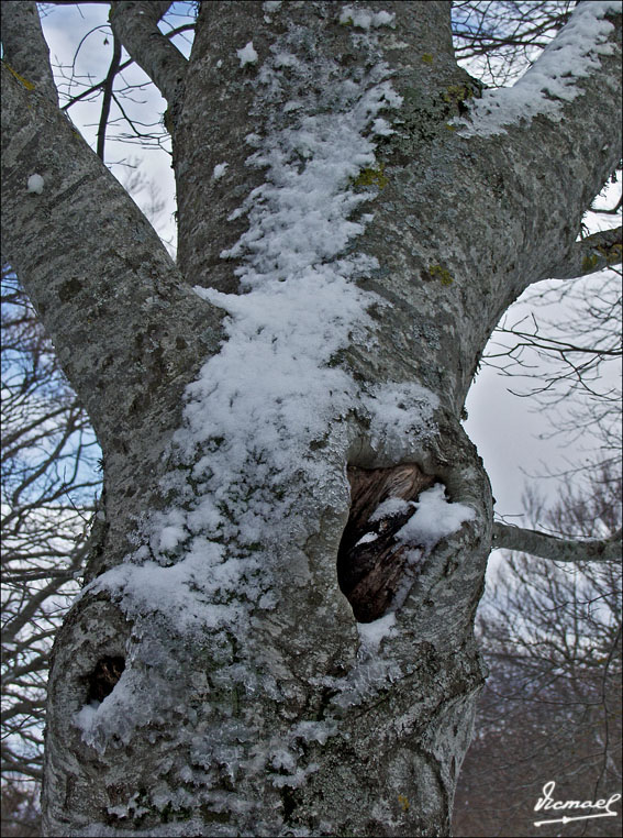 Foto de Vera de Moncayo (Zaragoza), España