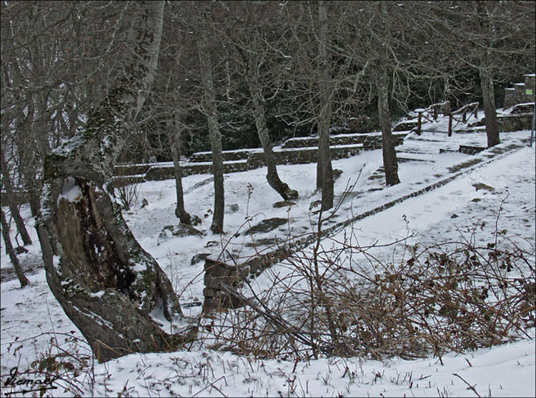 Foto de Vera de Moncayo (Zaragoza), España
