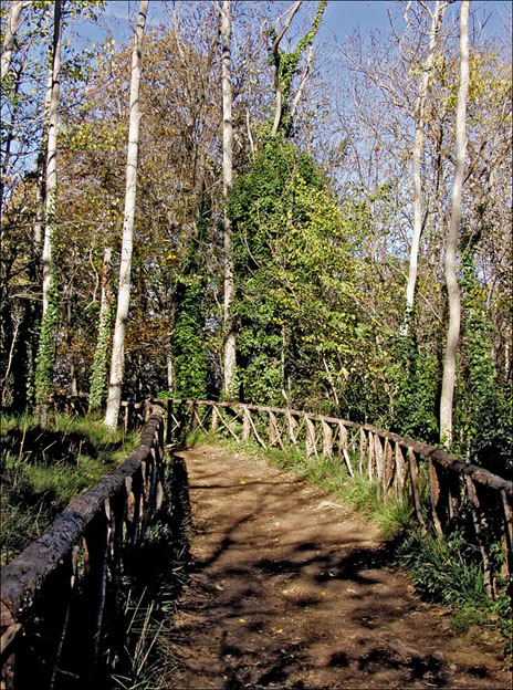 Foto de Nuévalos (Zaragoza), España