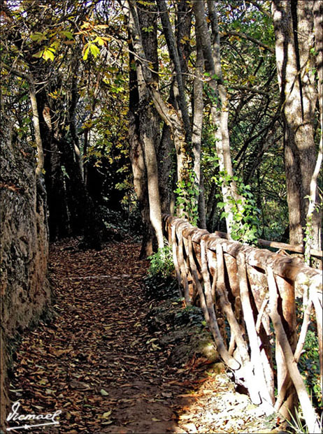 Foto de Nuévalos (Zaragoza), España