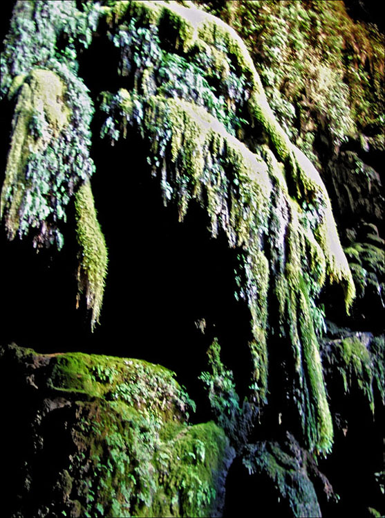 Foto de Nuévalos (Zaragoza), España