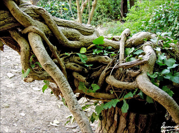 Foto de Nuévalos (Zaragoza), España