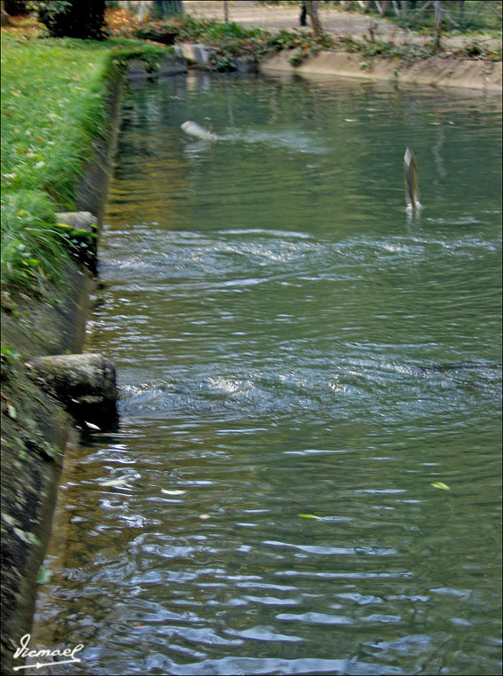Foto de Nuévalos (Zaragoza), España