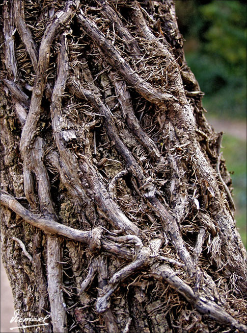 Foto de Nuévalos (Zaragoza), España