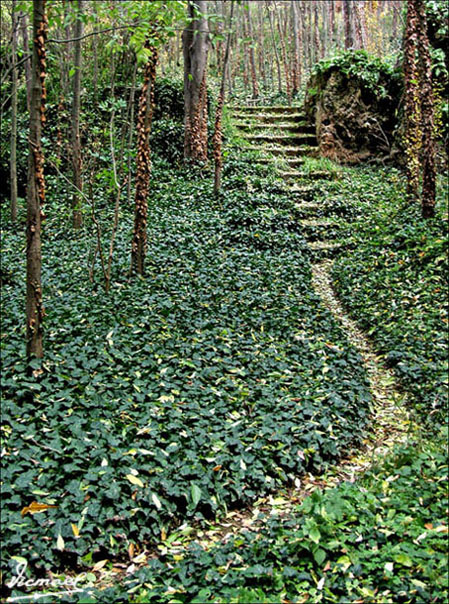 Foto de Nuévalos (Zaragoza), España