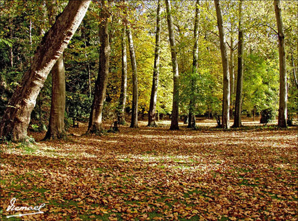 Foto de Nuévalos (Zaragoza), España