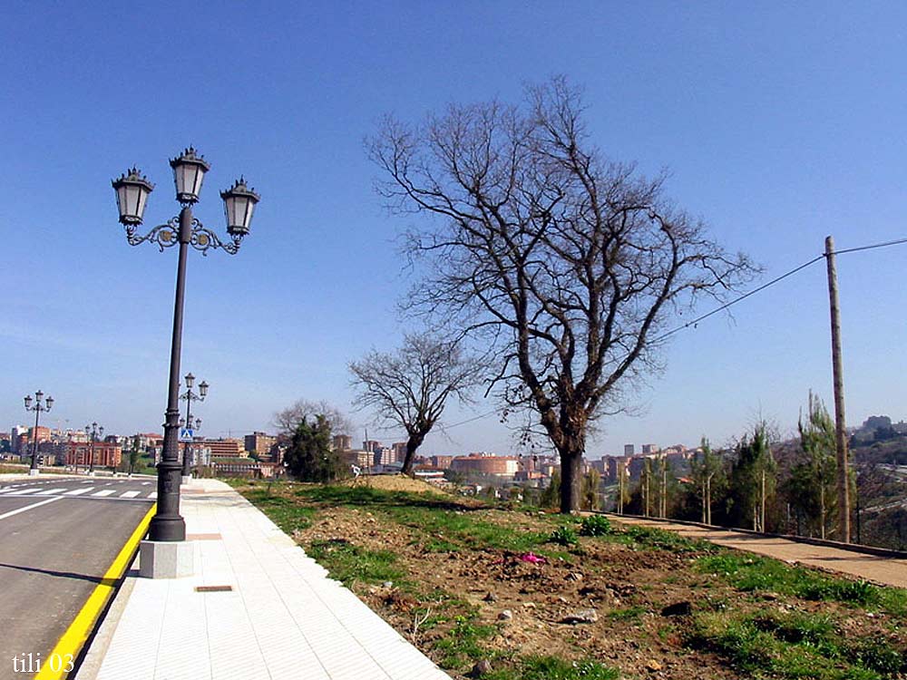 Foto de Oviedo (Asturias), España